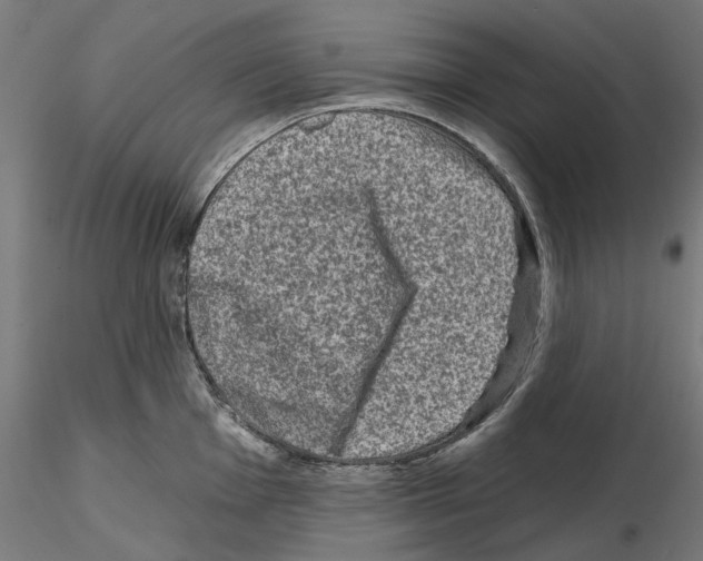 X0000114691001200912021040