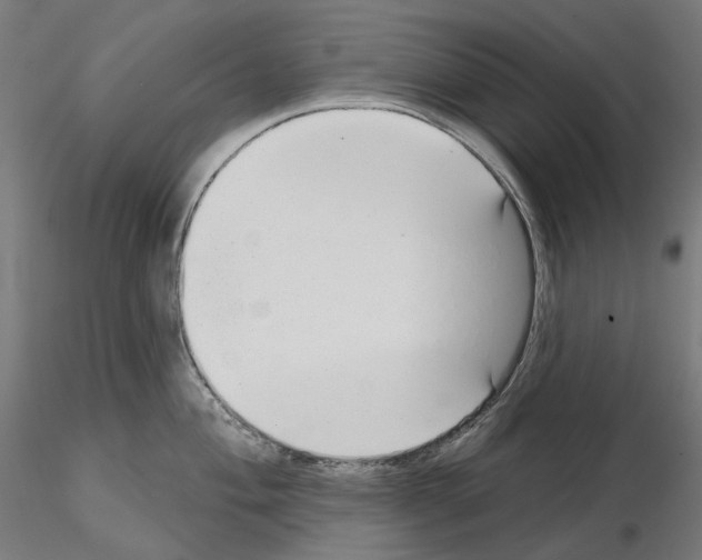 X0000114691004200912021040