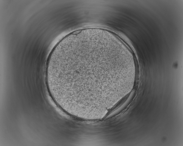 X0000114691005200912021040