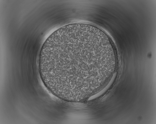 X0000114691007200912021040