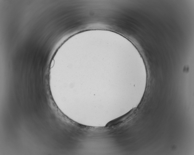 X0000114691008200912021040