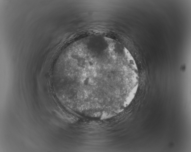 X0000114691009200912021039