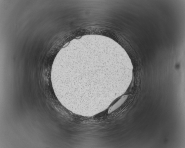 X0000114691010200912021039