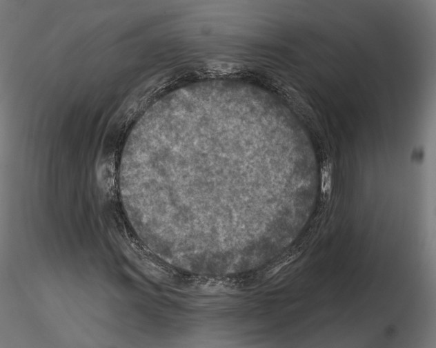 X0000114691011200912021039