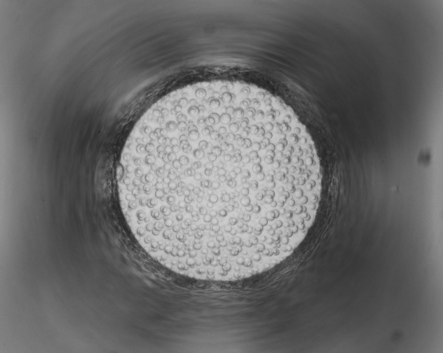 X0000114691014200912021040