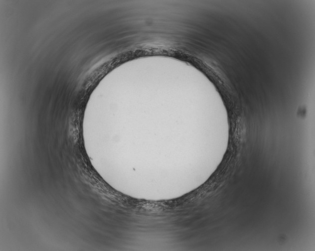 X0000114691015200912021040