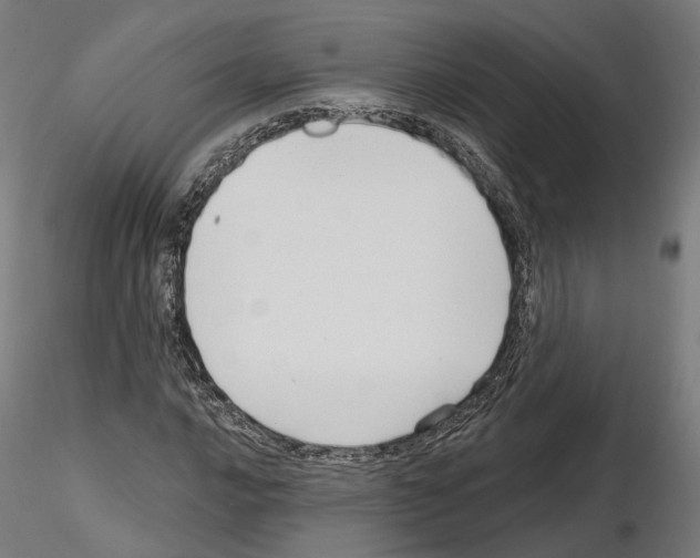 X0000114691016200912021040