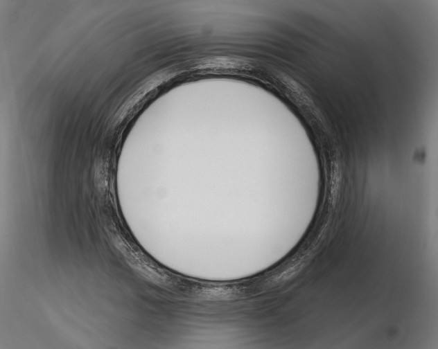 X0000114691017200912021040