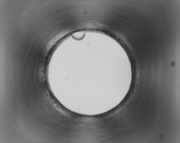 X0000114691018200912021040