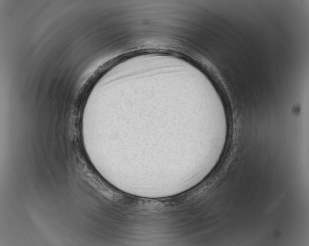 X0000114691019200912021040
