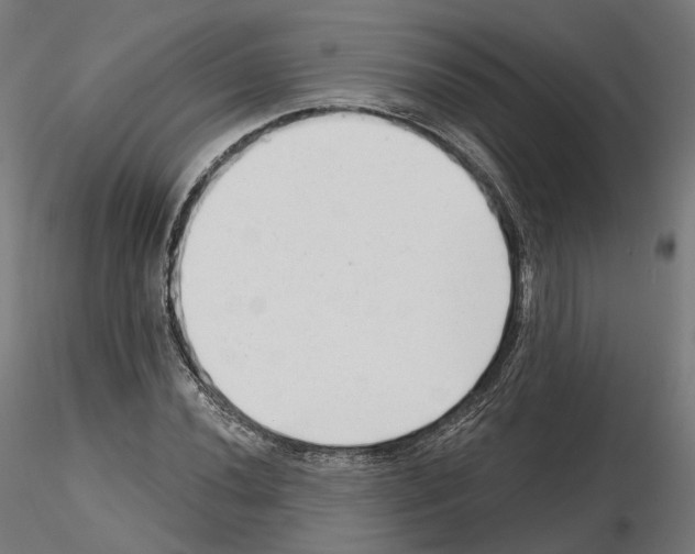 X0000114691020200912021040