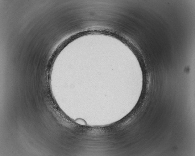 X0000114691021200912021040