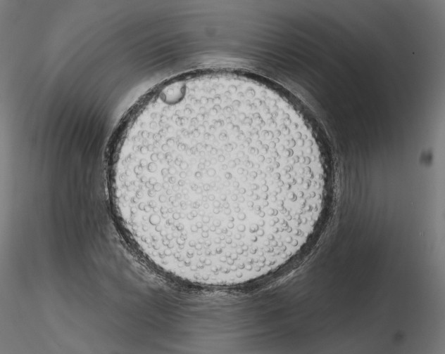 X0000114691022200912021040