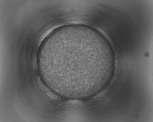 X0000114691023200912021040