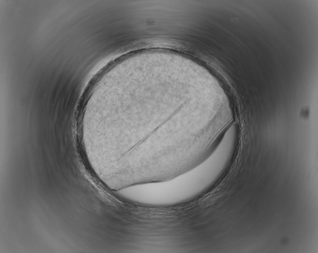 X0000114691024200912021040