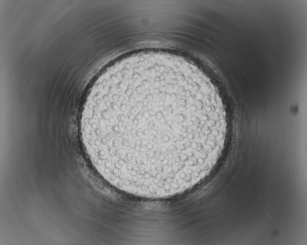 X0000114691025200912021040