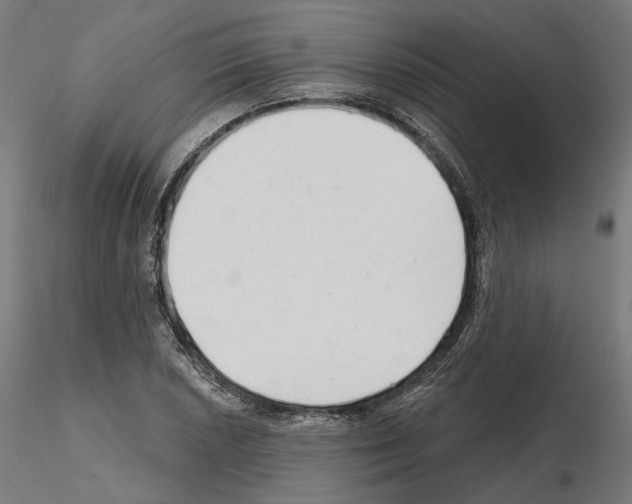 X0000114691026200912021040