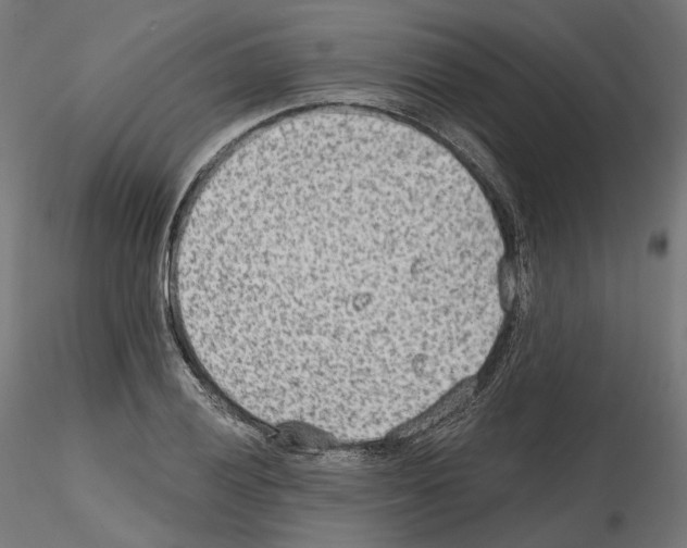 X0000114691028200912021040