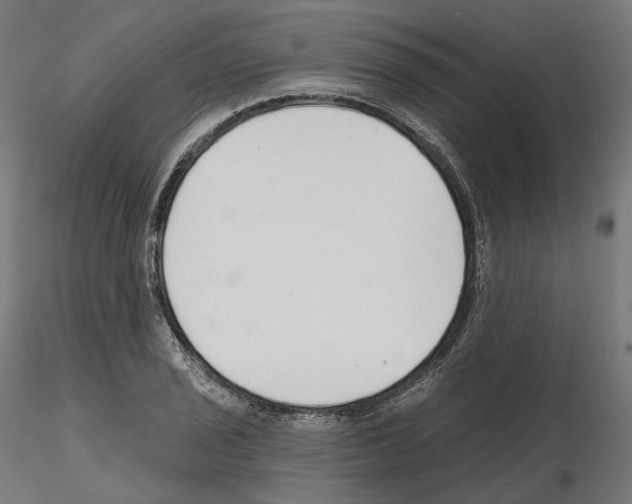 X0000114691029200912021040