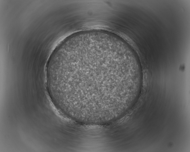 X0000114691031200912021040