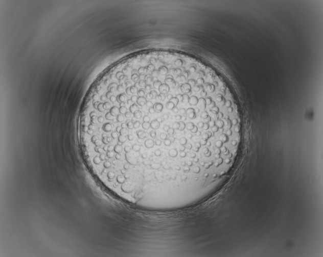 X0000114691032200912021040