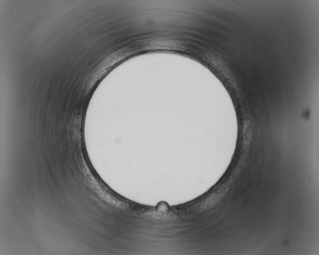 X0000114691033200912021040
