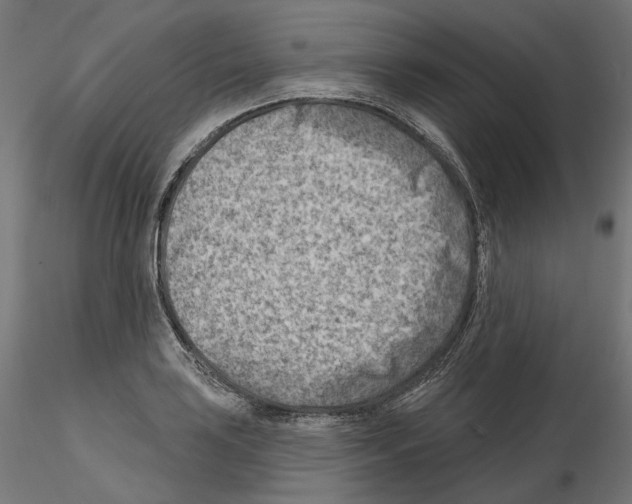 X0000114691035200912021040