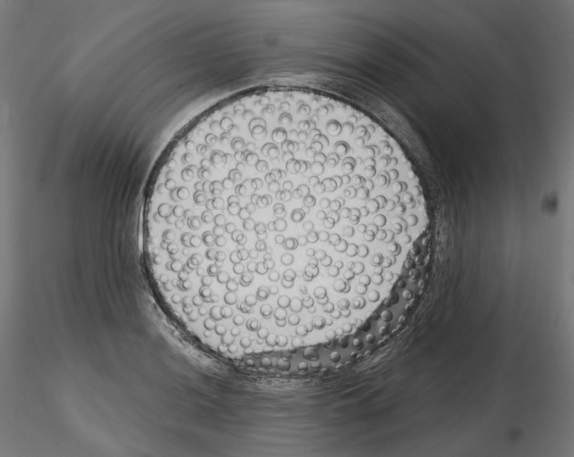 X0000114691036200912021040