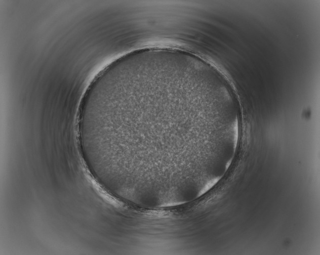 X0000114691037200912021040