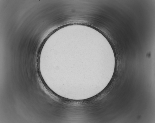 X0000114691038200912021040