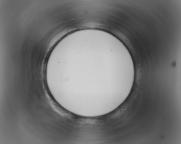 X0000114691039200912021040