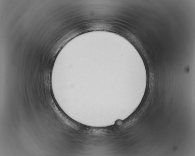X0000114691041200912021040