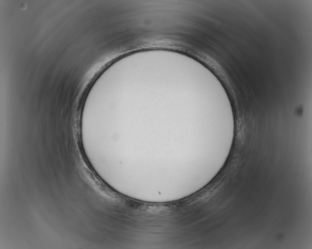 X0000114691043200912021040