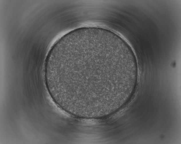 X0000114691045200912021040