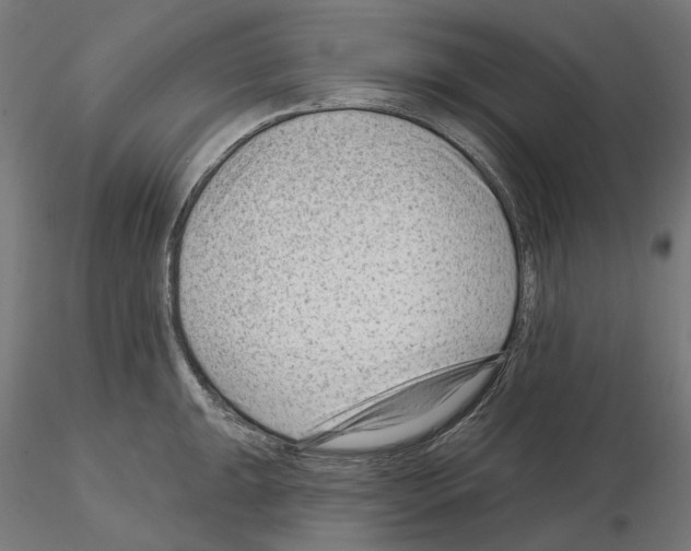 X0000114691047200912021040