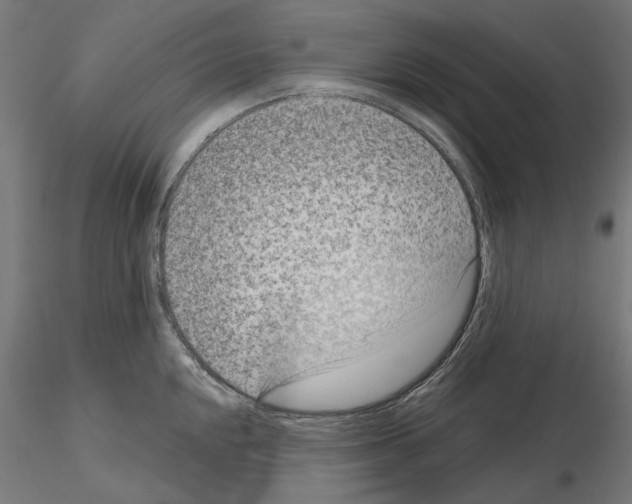 X0000114691048200912021040