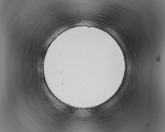 X0000114691049200912021040
