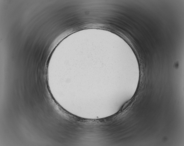 X0000114691050200912021040