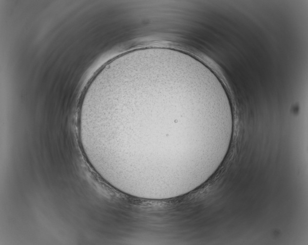X0000114691051200912021040