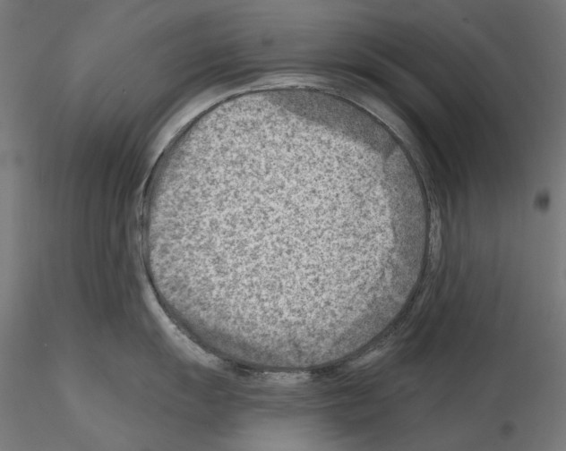 X0000114691055200912021040