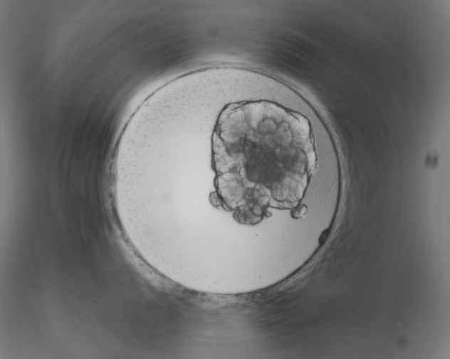 X0000114691056200912021040