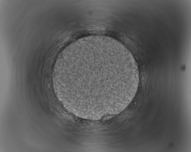 X0000114691057200912021039