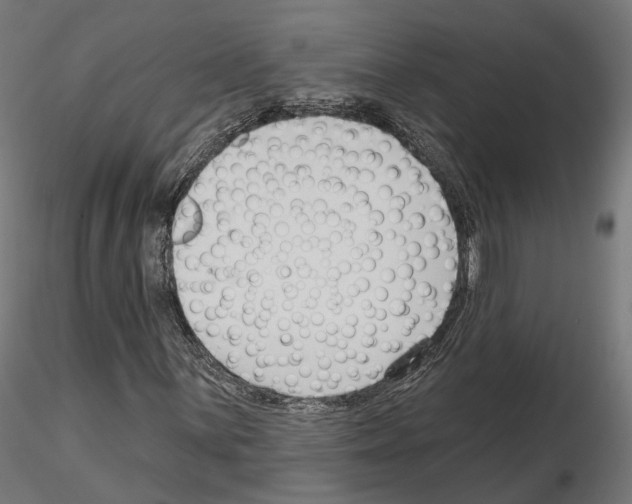 X0000114691059200912021039