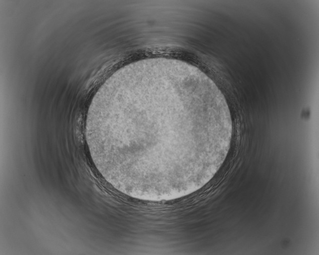 X0000114691060200912021039