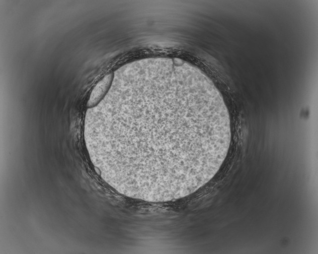 X0000114691061200912021039