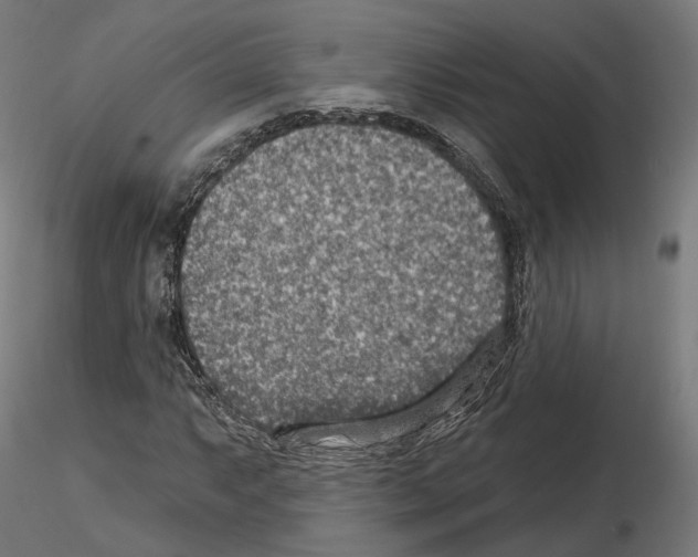 X0000114691063200912021039