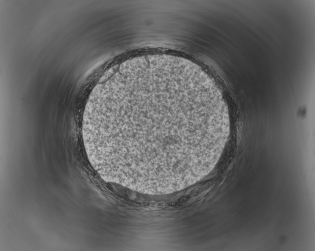 X0000114691064200912021039