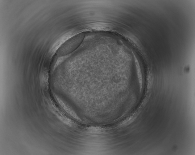X0000114691065200912021039
