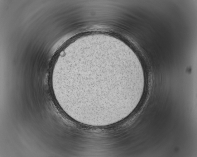 X0000114691066200912021039