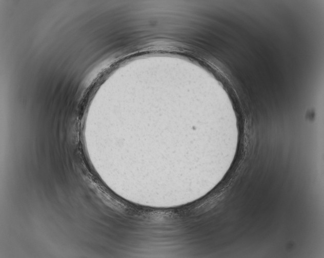 X0000114691067200912021039